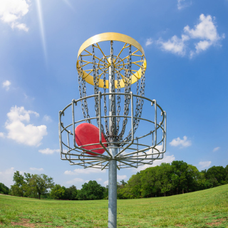 Frisbee Disc Golf image